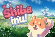 Shiba Inu