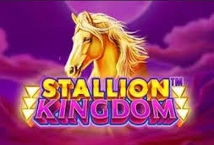 Stallion Kingdom