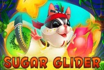 Sugar Glider