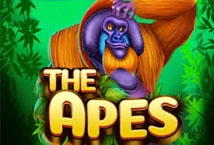 The Apes