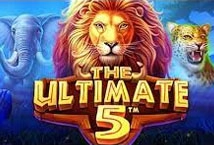 The Ultimate 5