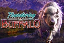 Thundering Buffalo