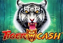 Tiger Cash