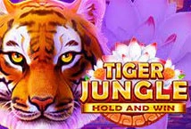 Tiger Jungle