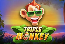 Triple Monkey