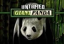 Untamed Giant Panda