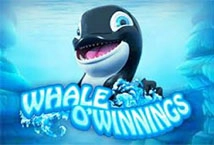 Whale O Winnings