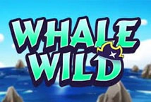 Whale Wild