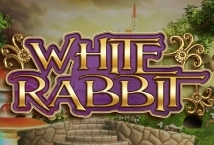 White Rabbit