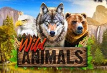 Wild Animals