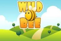 Wild Bee