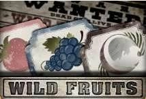 Wild Fruits