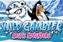 Wild Gambler Arctic Adventure