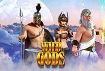 Wild Gods