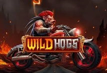 Wild Hogs