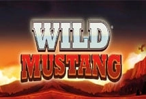 Wild Mustang