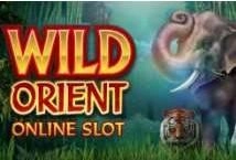 Wild Orient