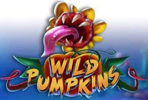 Wild Pumpkins