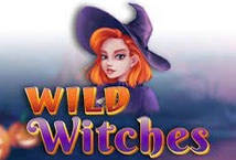 Wild Witches (Amatic Industries)