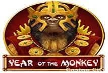 Year of the Monkey