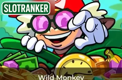 Wild Monkey