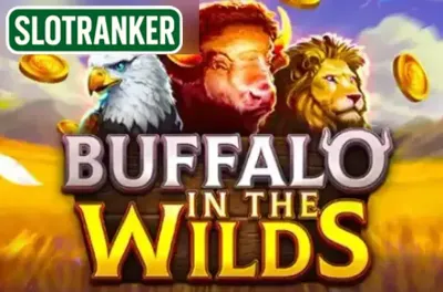 Buffalo in the Wilds