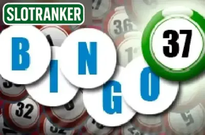 Bingo 37