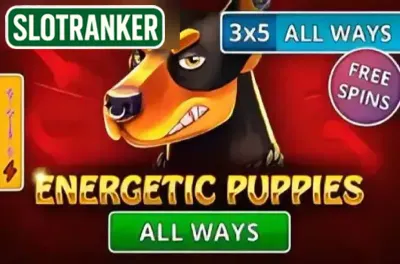 Energetic Puppies