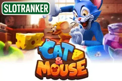 Cat & Mouse (Advant Play)