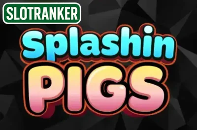 Splashin Pigs