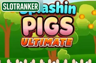 Splashin Pigs Ultimate