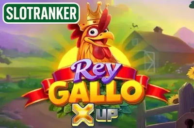 Rey Gallo X UP