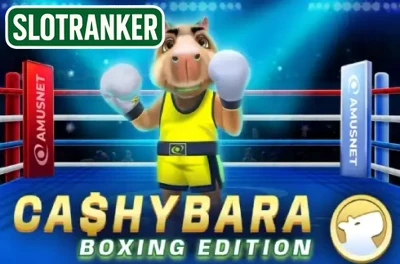 Cashybara Boxing Edition