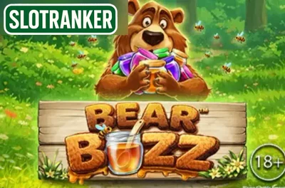 Bear Buzz