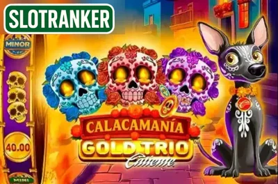 Gold Trio: Calacamania