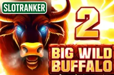 Big Wild Buffalo 2