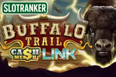 Buffalo Trail Cash Mesh Link