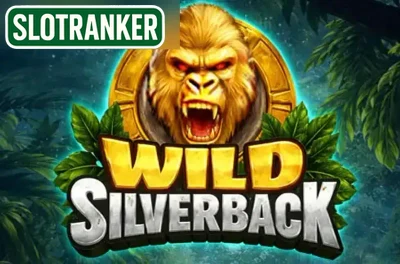 Wild Silverback