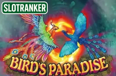 Birds Paradise