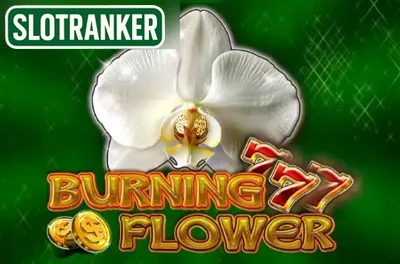 Burning Flower