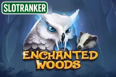 Enchanted Woods (CT Gaming)