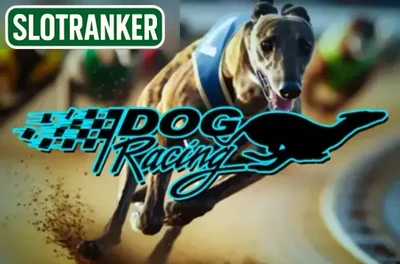 Dog Racing