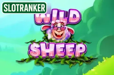 Wild Sheep