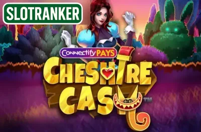 Connectify Pays Cheshire Cash
