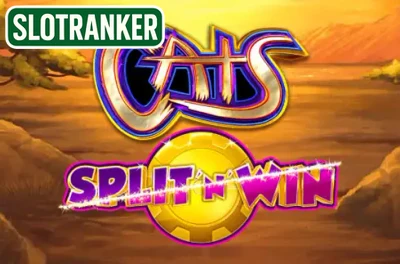 Cats Split 'n' Win