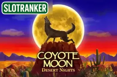 Coyote Moon Desert Nights