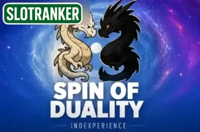 Spin Of Duality