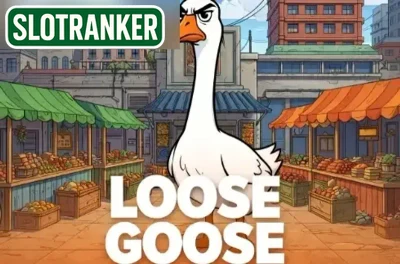 Loose Goose