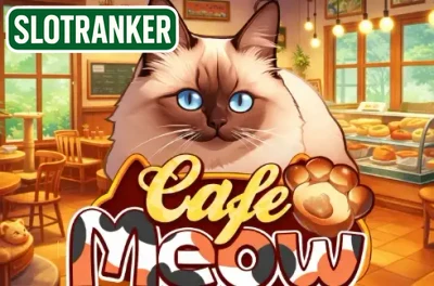 Cafe Meow