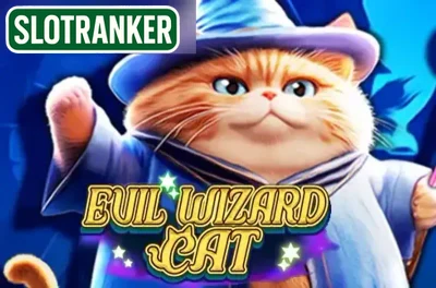 Evil Wizard Cat